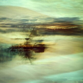 Image of Tree on the Loch by Noel Fenech Photography